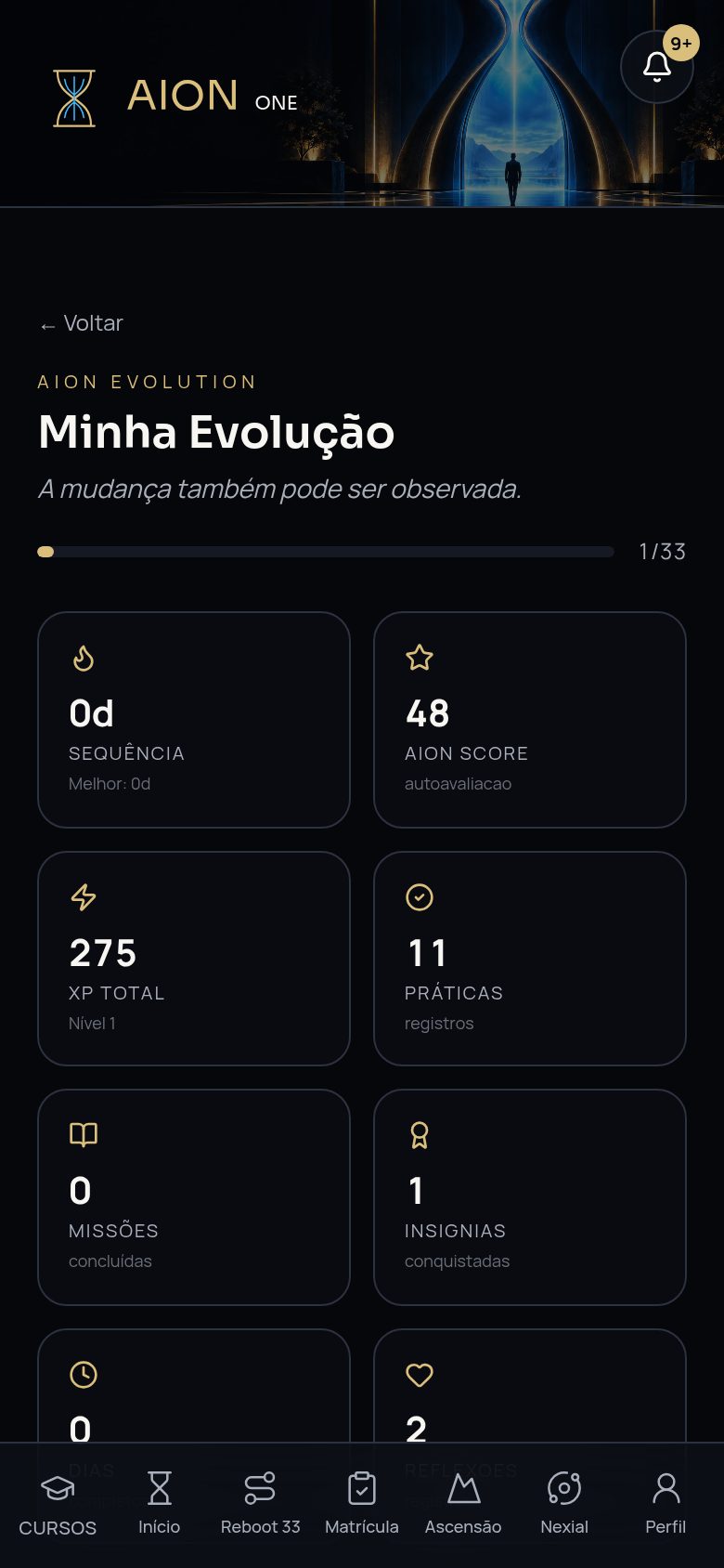 Tela Evolução no celular